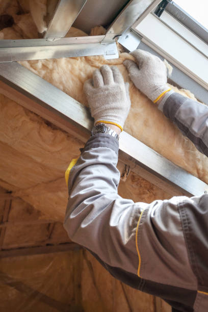 Best Insulation Maintenance and Repair in Hays, NC