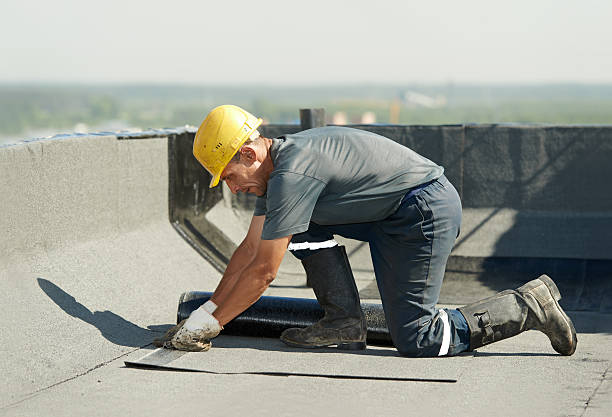 Best Residential Insulation in Hays, NC